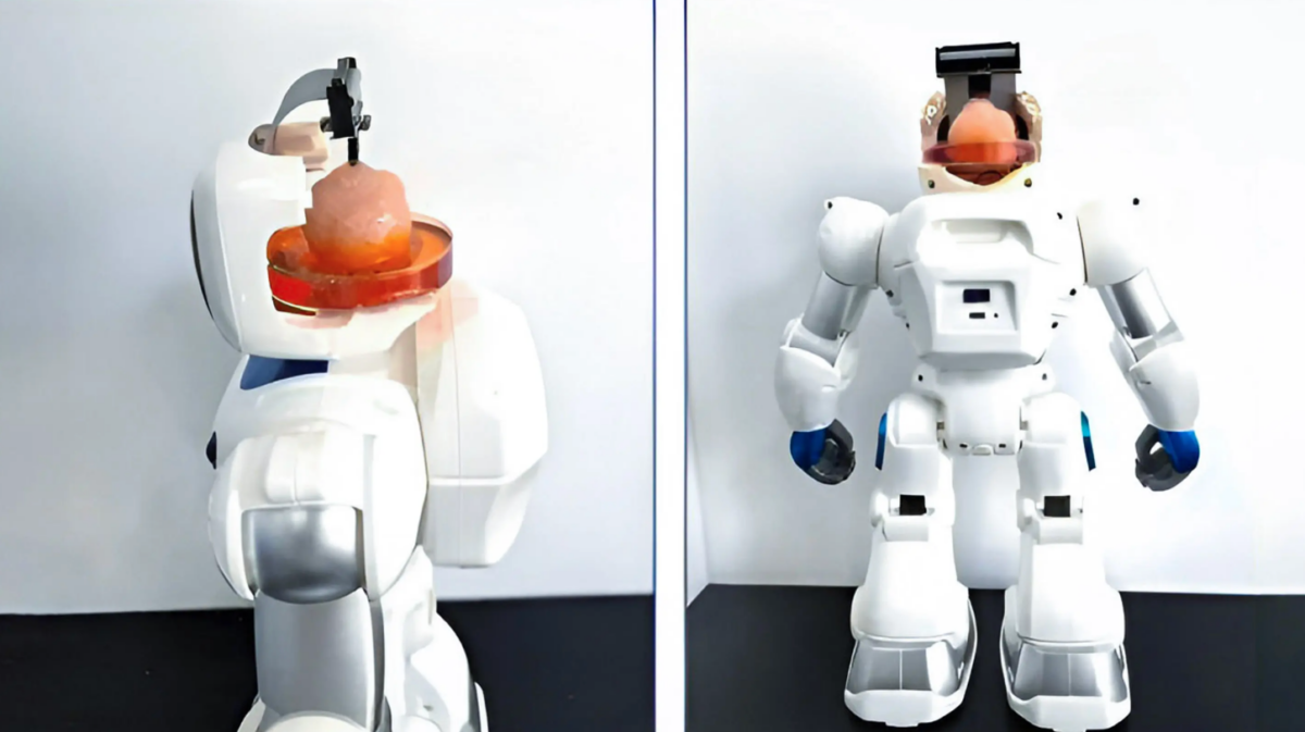 Frankenstein Reimagined as Chinese Scientists Revolutionize Robotics by Creating an AI Robot With Human Brain
