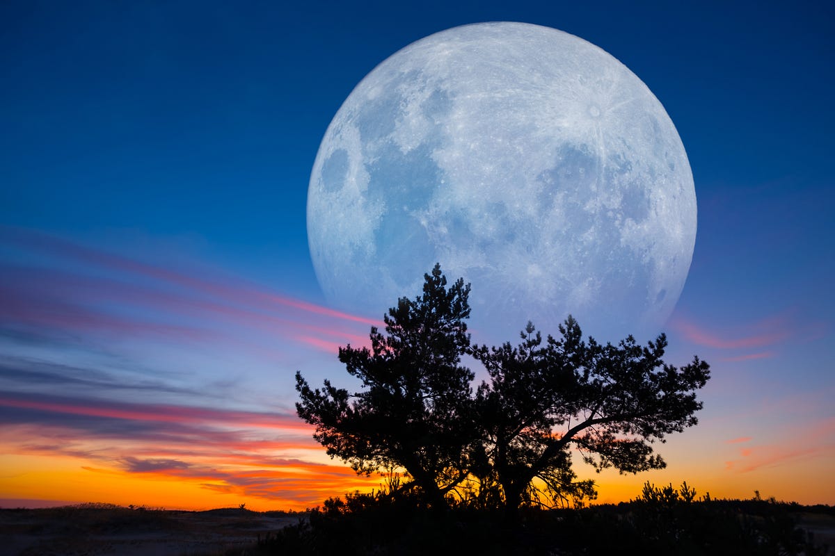Weekly Energy Shifts & Updates — August 19th to 25th, 2024 — Super Blue
