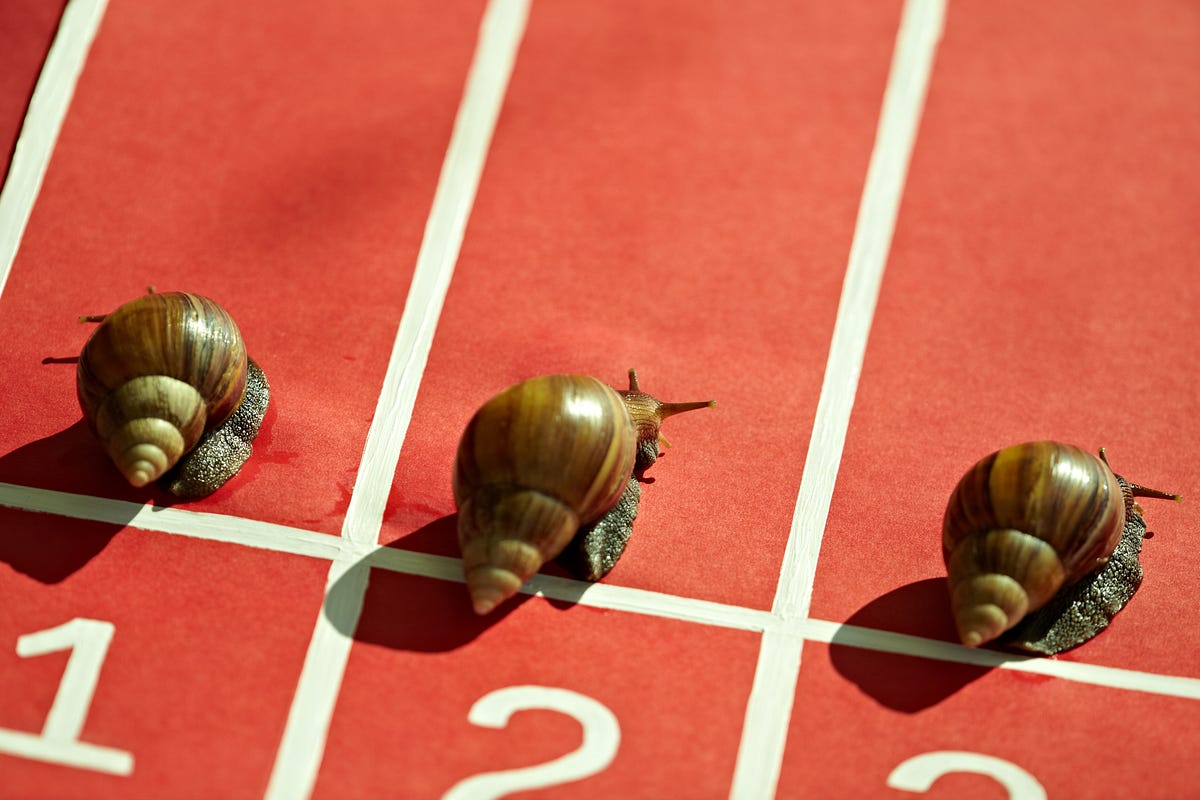 Need for Speed: Which Crypto is the Fastest? | by BUX | Medium