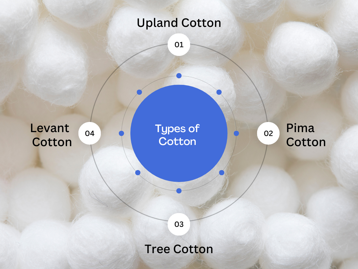 Learn about 4 Types of Cotton. Origin of Cotton by Catcheyes Medium