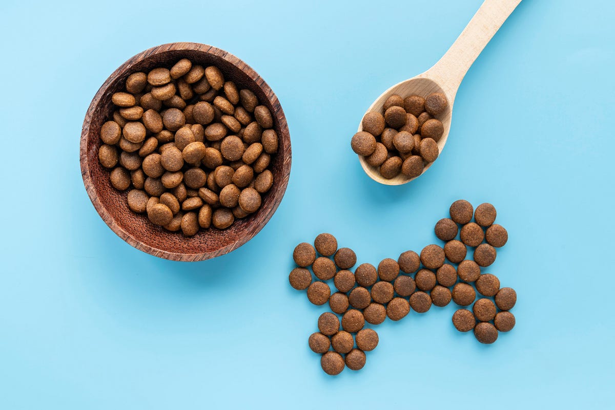 The Best Dog Food Brands 2022 FooDeck Dog Medium