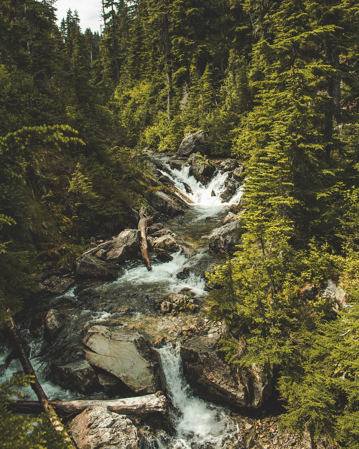 The Small Rivulet - iPoetry - Medium