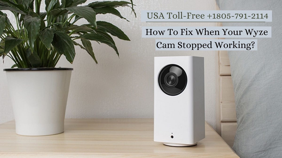 Quick Fix When Wyze Cam Stopped Working by jaspal singh Medium