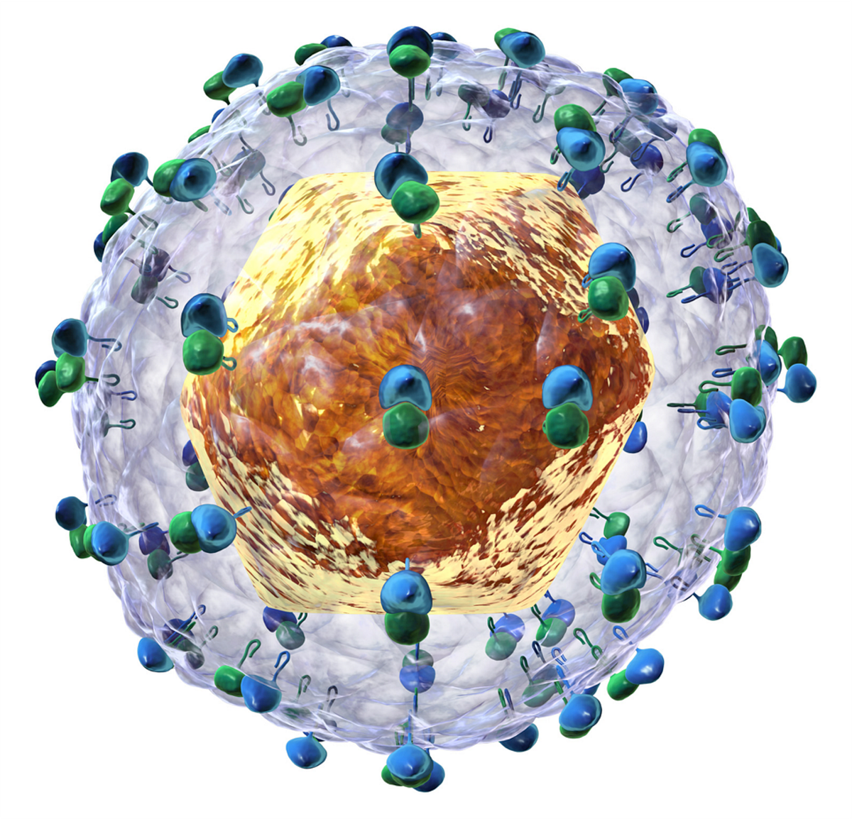 гепатит а кратко о болезни. вирус гепатита c. вирус гепатита c. вирусный гепатит ц. вирус гепатита в.