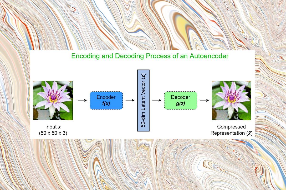 An Introduction to Autoencoders in Deep Learning | by Rukshan ...