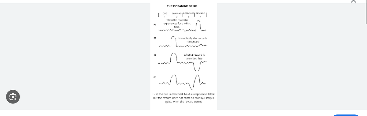 The dopamine circuit as a reward-taxis navigation system