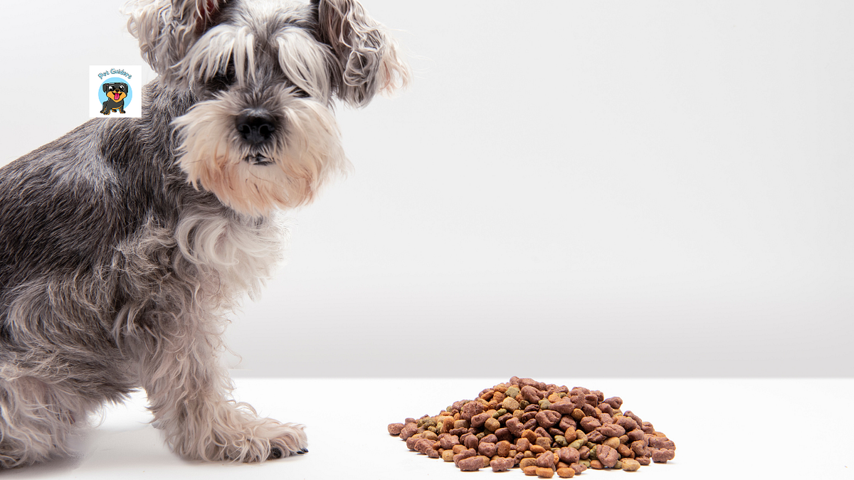 How long can my dog go without eating? by Aug, 2023