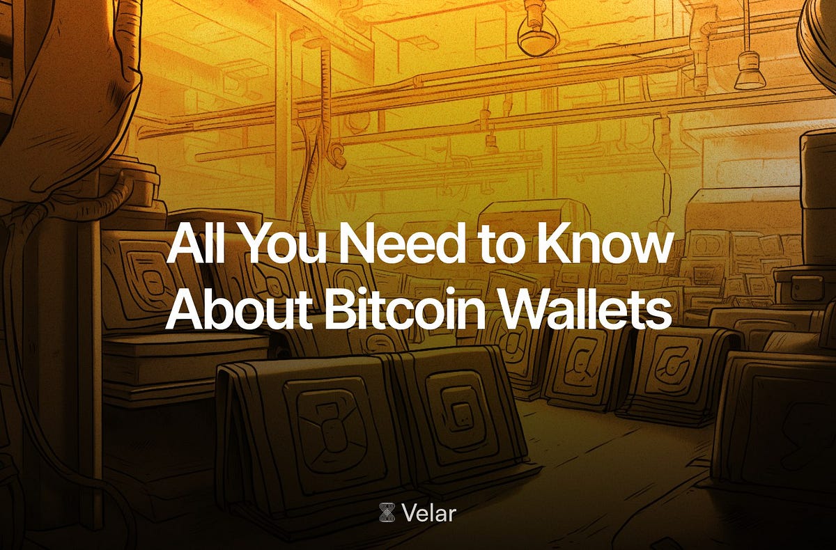 All You Need to Know About Bitcoin Wallets | by Narender Charan | Velar  Protocol | Medium