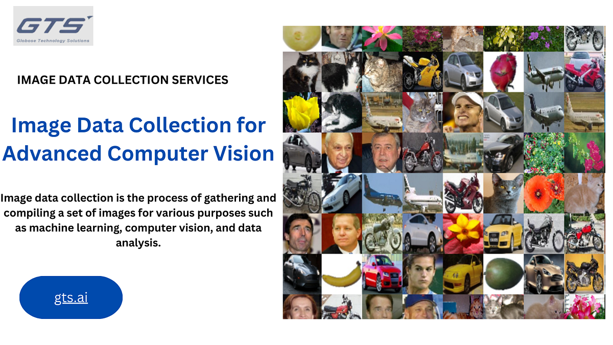 Utilising Image Datasets for Machine Learning: A Comprehensive Guide ...