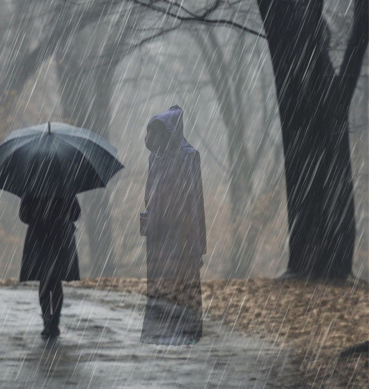 Questions in the Rain. Rando- The knock that woke her… | by Adrienne ...