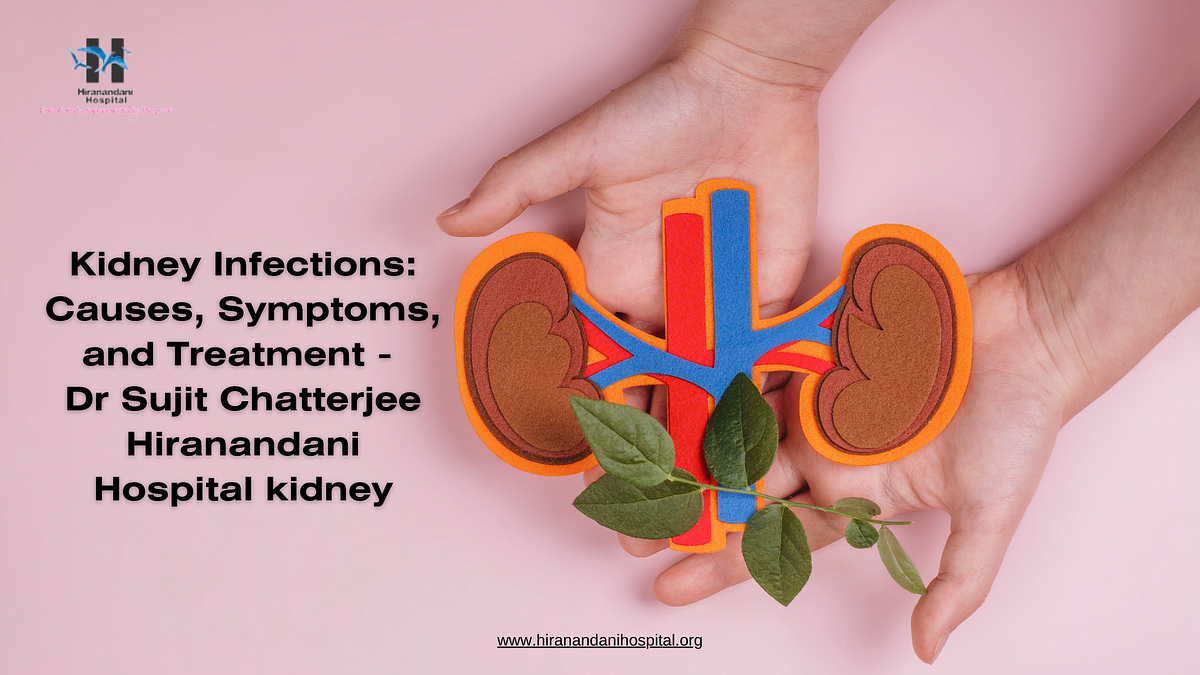 Kidney Infections Causes, Symptoms, and Treatment — Dr Sujit