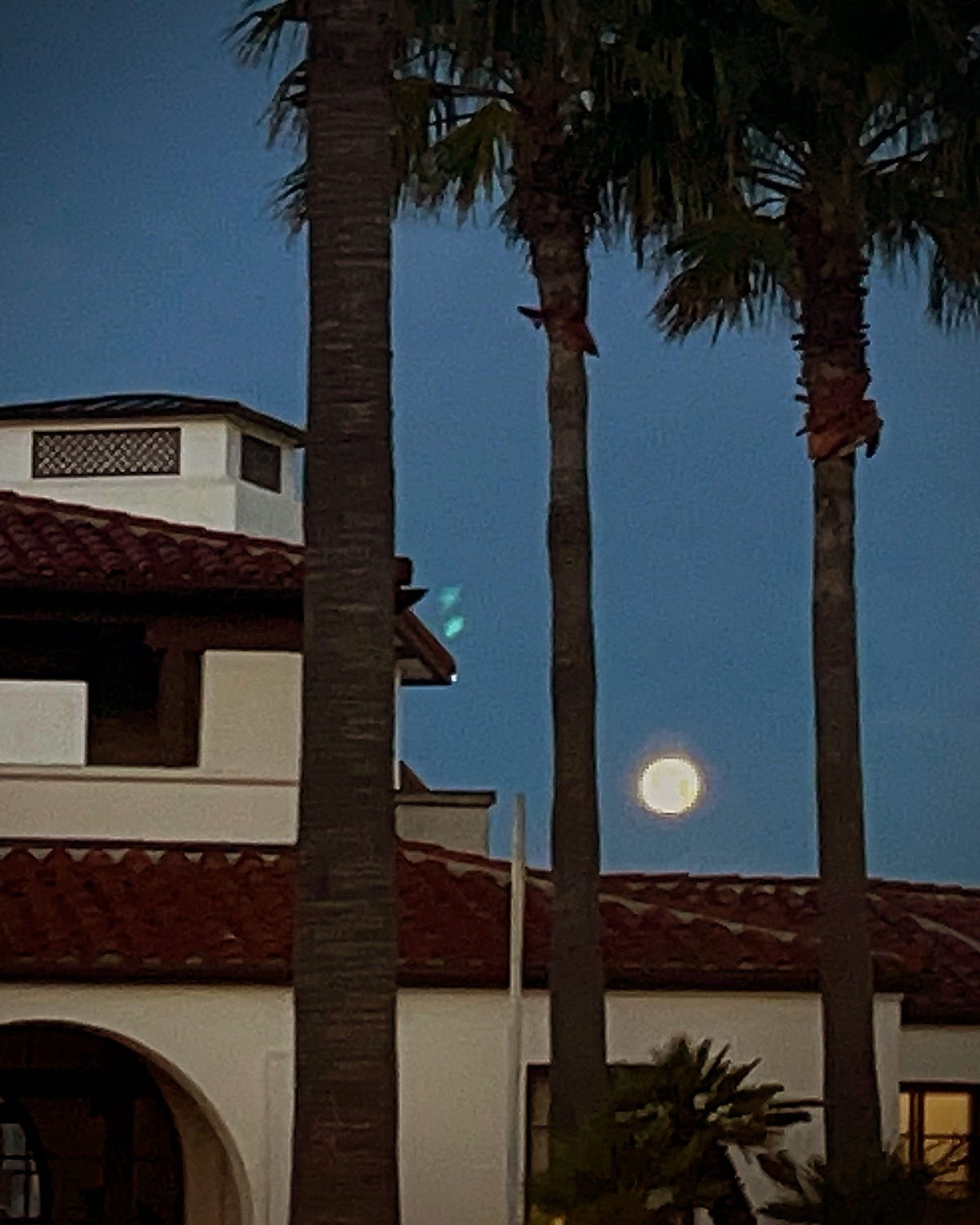 astrology-in-real-life-scorpio-full-moon-by-emily-wheeler-tatomer