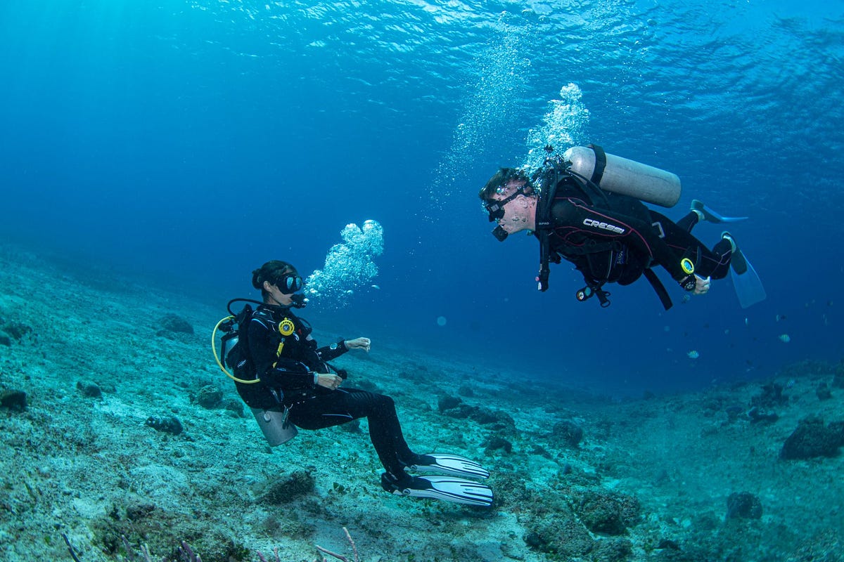 Exploring The Underwater Paradise With Dive Shop Cozumel by Barefoot