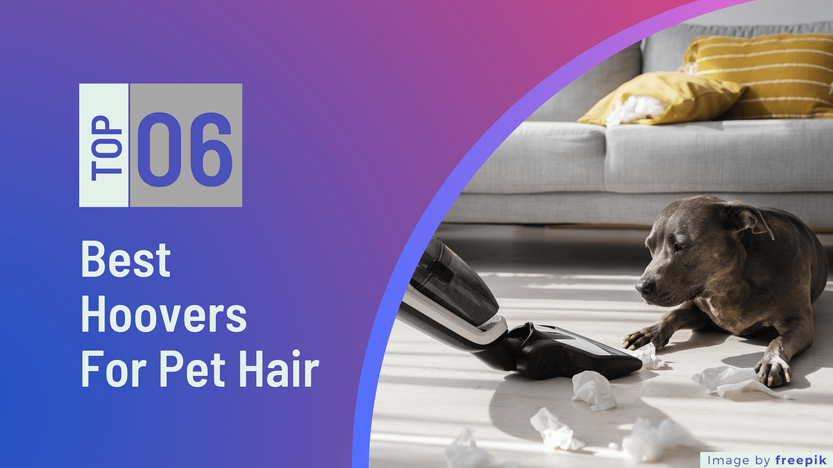 Choosing the Perfect Hoover for Pet Hair A Comprehensive Buying Guide