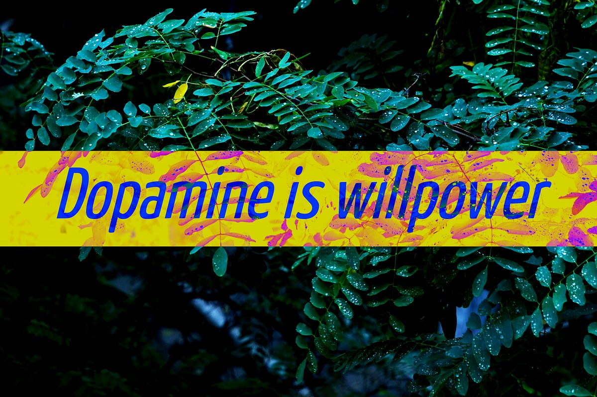Image showcasing Dopamine is willpower. As most seem to believe, dopamine is… | by ...