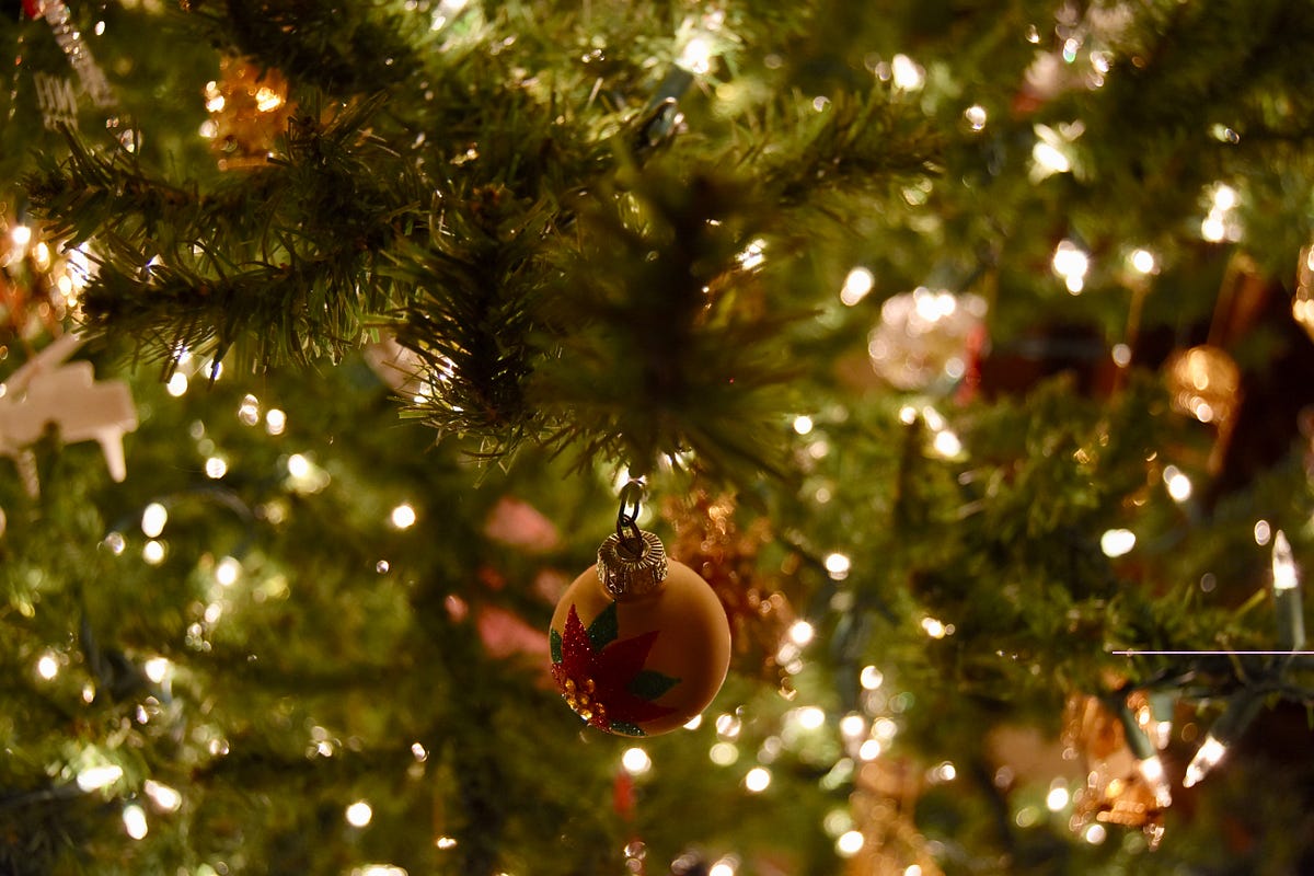 A Single Woman‘s Struggle to Buy (and Move) a Six-Foot-Tall Christmas Tree