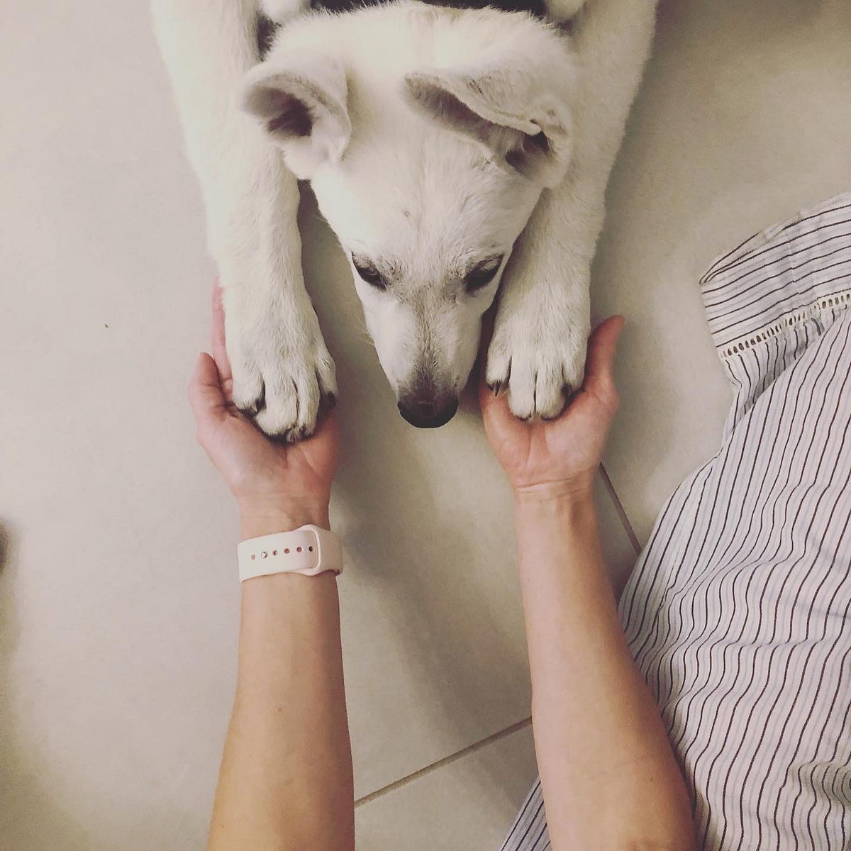 When My Mental Illness Made Me Rehome My Dog | by Jenny Tennille | Medium