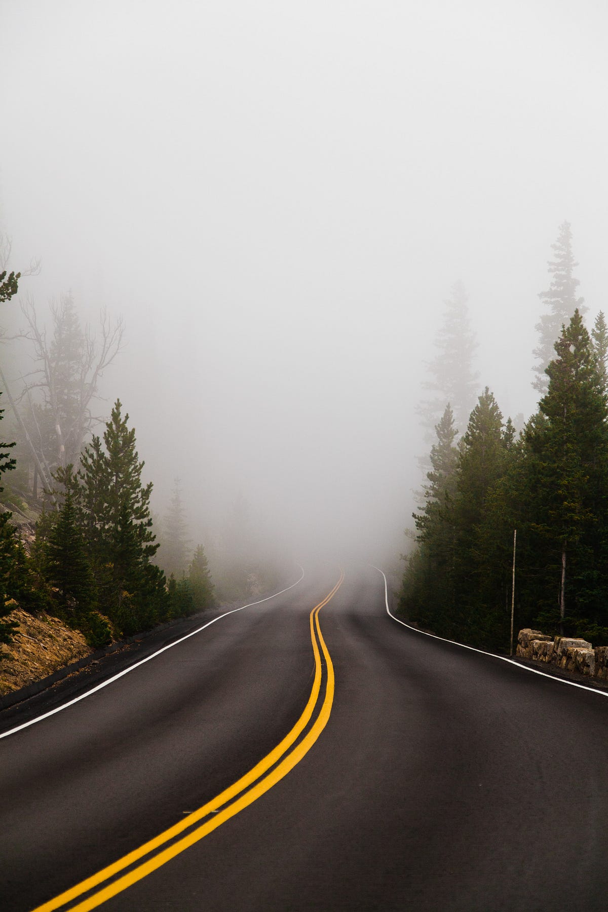 Yellow Lines. For most of my life, I have been a… | by Alison Griffin ...