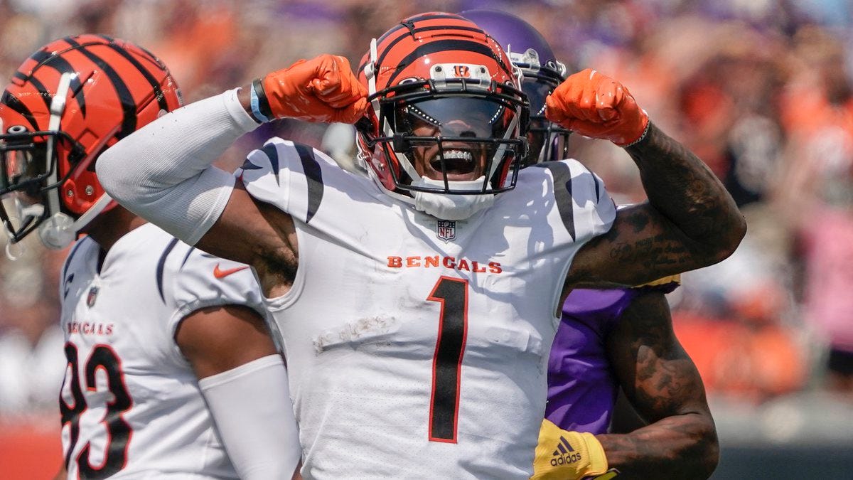 Here's how much Cincinnati Bengals tickets cost (Spoiler alert