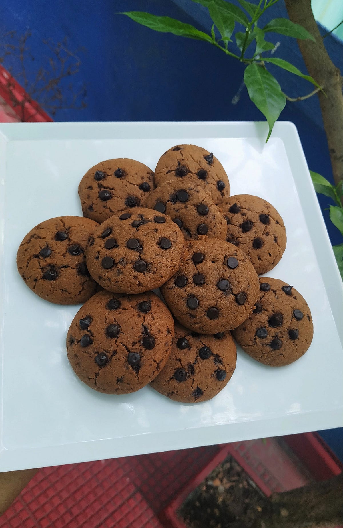 *Chocolate cookies recipe* Ingredients 1 tablespoon coffee powder 140