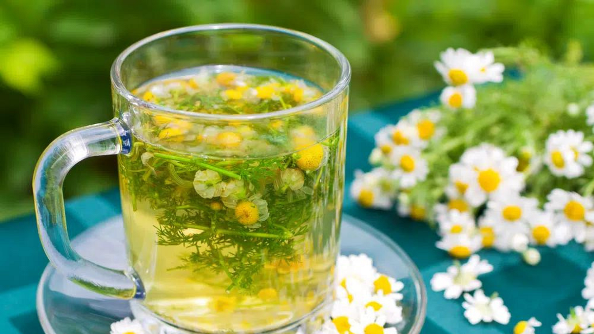 Does Chamomile tea act as a sleep inducer? by Tea Life Jul, 2023