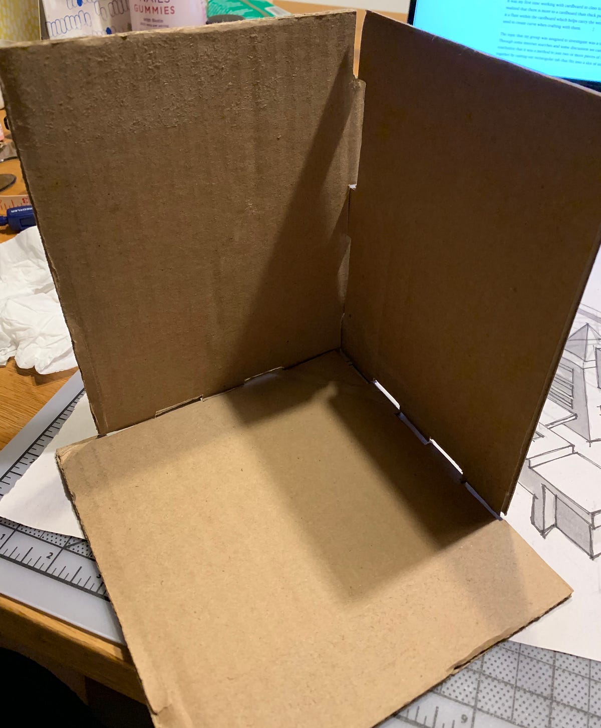 Project 2 Apple Carrier. A carrier is a case that packs and… by