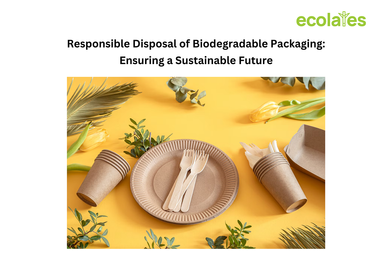 Responsible Disposal of Biodegradable Packaging Ensuring a Sustainable