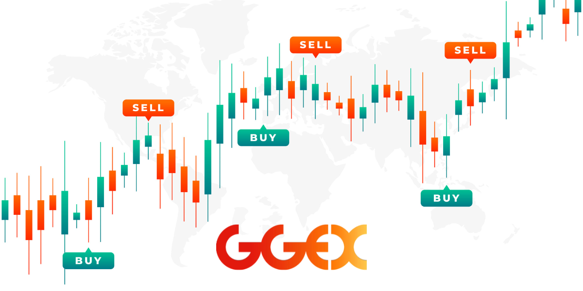 Copy Trading Turns Market Professionals into Inadvertent Mentors
