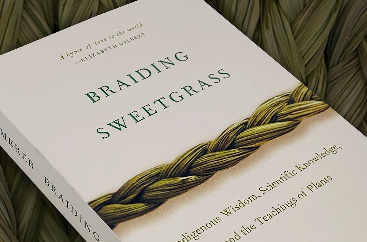 Braiding Sweetgrass ( Book Summary ) by Quick Reads Medium