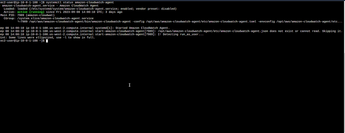 Monitoring Apache Logs on EC2 Instances with Amazon CloudWatch: A Step ...