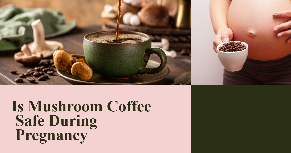 Is Mushroom Coffee Safe During Pregnancy Myth or Fact? by Writer