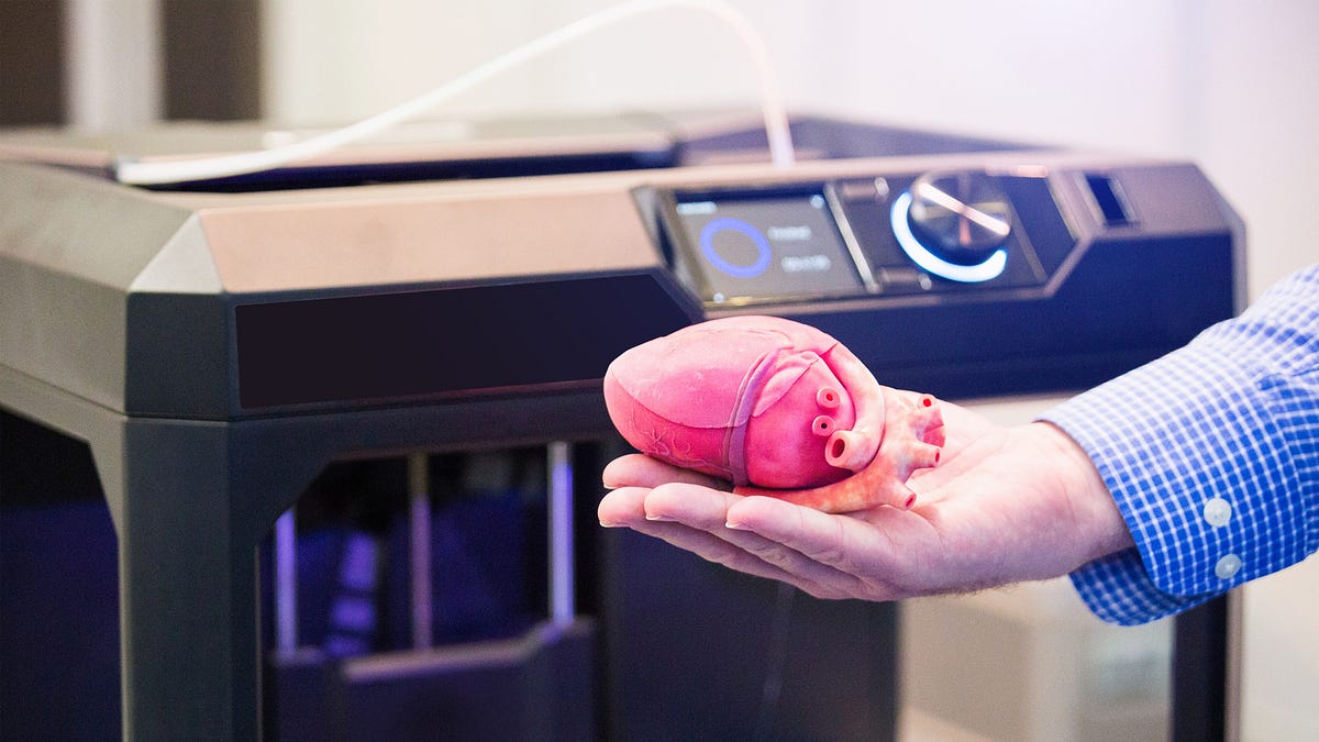 Revolutionizing Healthcare: 3D Printed Organs 🫀 | by Alhan Ali | Medium