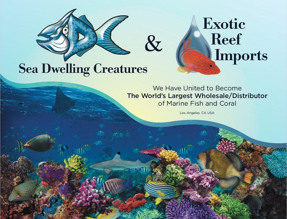 Largest Wholesaler of Marine Aquarium Livestock in the World!! by Sea