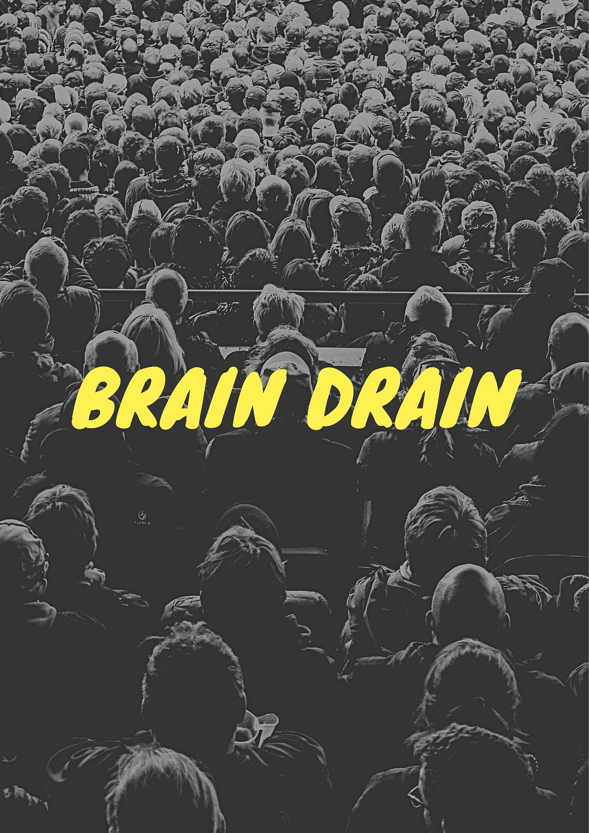 Navigating Brain Drain Challenges, Consequences, and Global Solutions