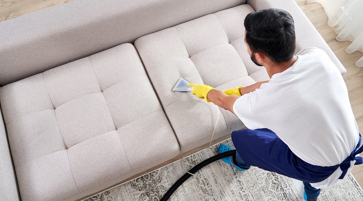 Love Your Sofa Again Experience My Steam Carpet Petaluma Expert Sofa