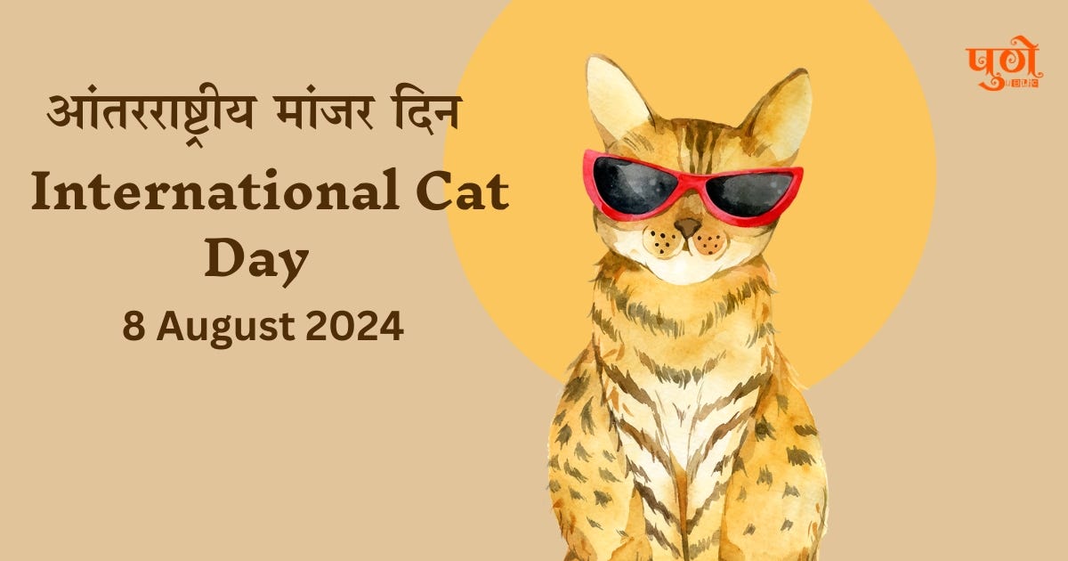 Happy International Cat Day — 8 August 2024 by punepublic Aug, 2024