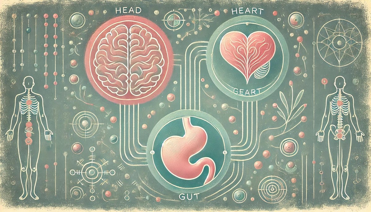 Unlocking the Power of Your Heart and Gut: The Science Behind Your Three  Brains | by Christoffel Sneijders | The Quantastic Journal | Medium