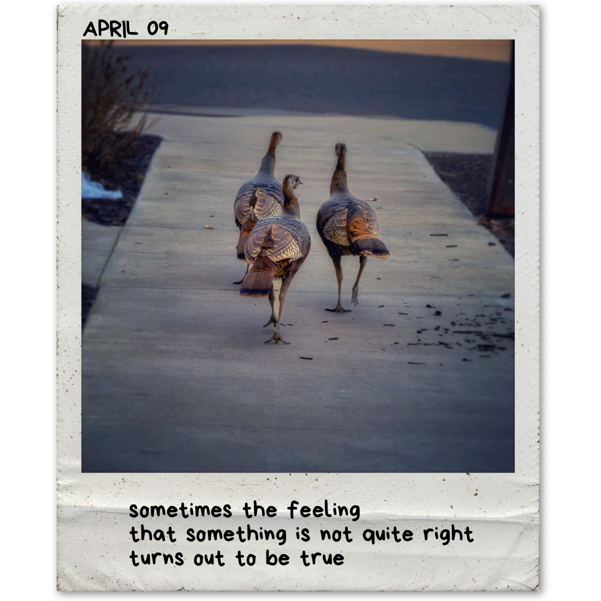 April 9