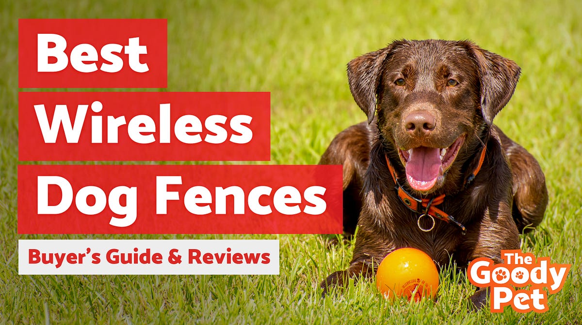 Best Wireless Dog Fences. A wireless dog fence is an inexpensive… by TheGoodyPet Medium