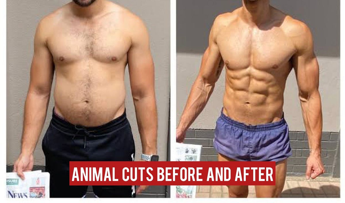**Animal Cuts Review Sculpt Your Body with Precision** by lico rice