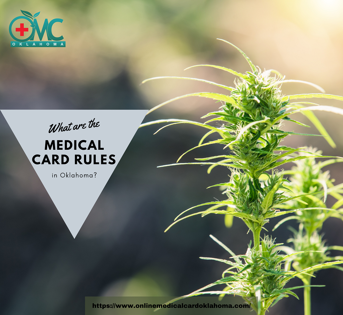 What are the Medical Card rules in Oklahoma? by Marysaylor Medium