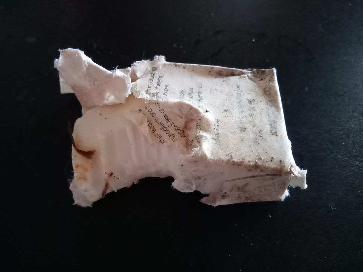 Wash Your Mouth, Monkey! The Daily Cuppa Medium