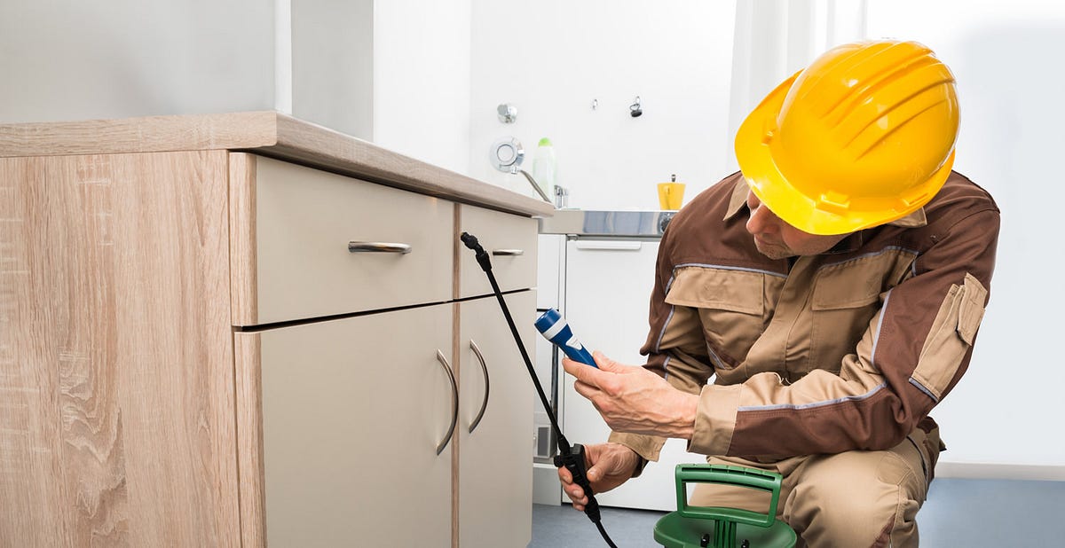 How to Protect Your Home from Termites and Other WoodDestroying