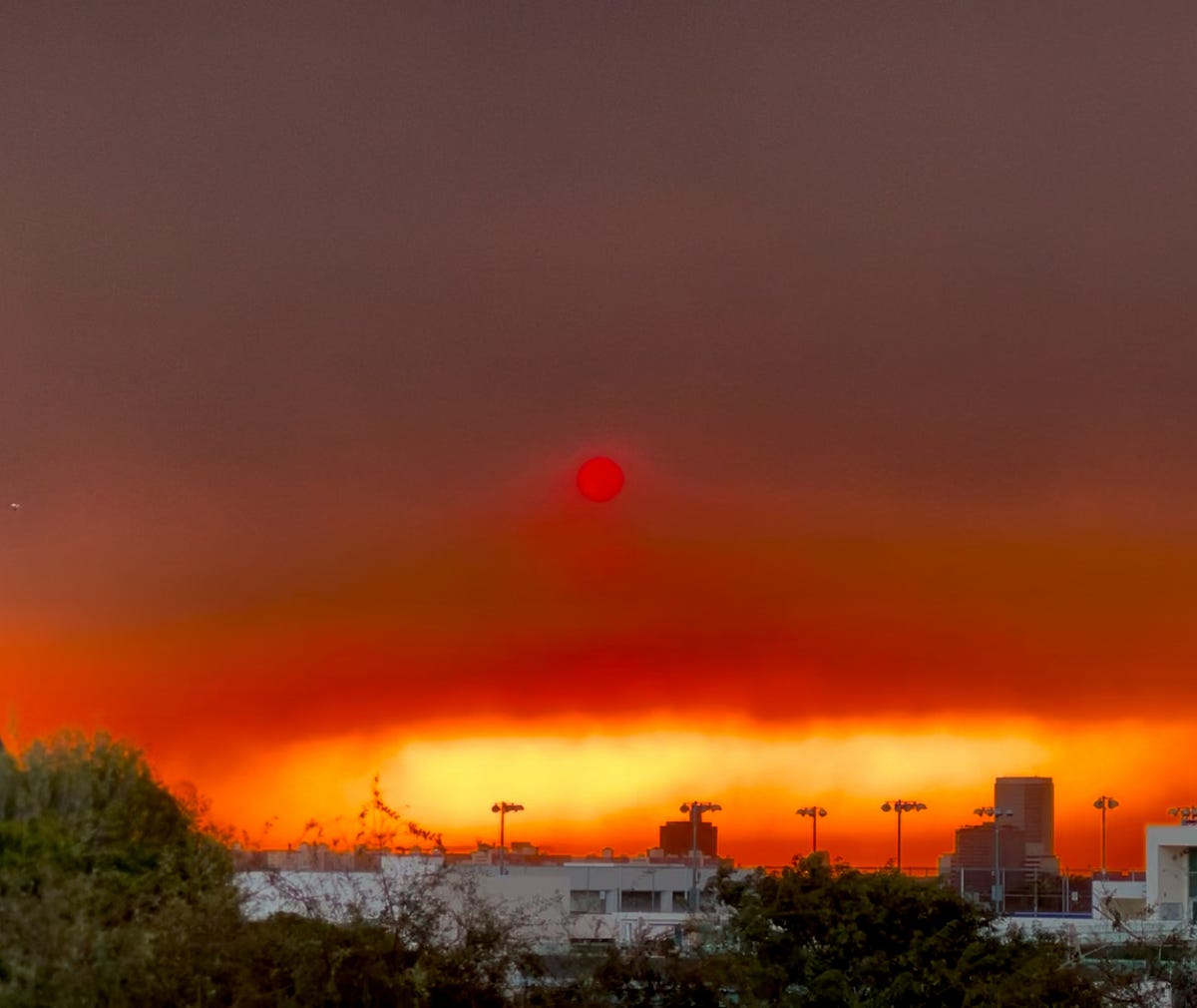 Tindergarten of the LA Fires