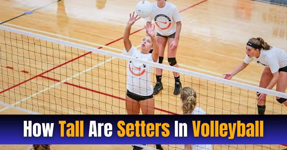 How Tall Are Setters In Volleyball? Volleyrob Medium