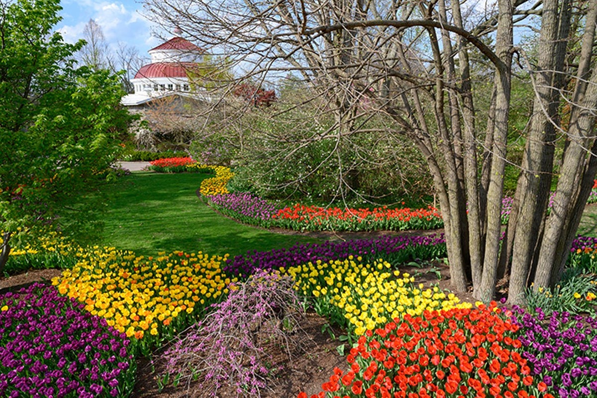 Things to Do in Cincinnati. Whether you’re a regional or going to… by Cincinnati Medium
