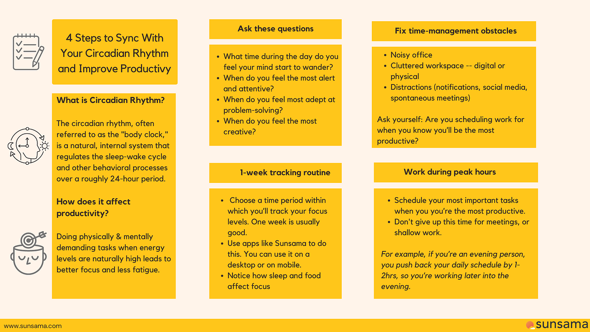How to Plan a Productive Day Using Your Circadian Rhythms | by Team ...