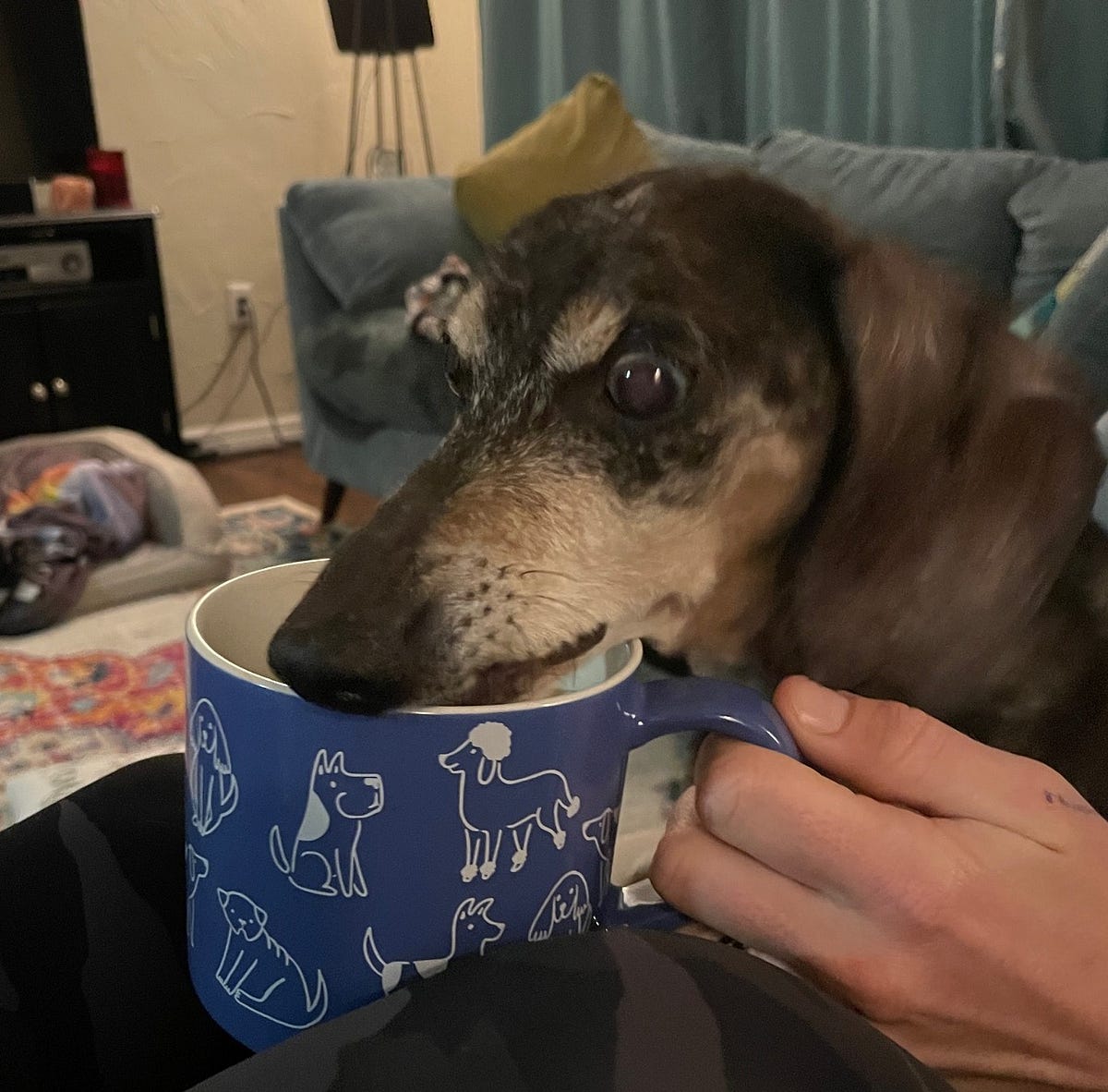 Morning Magic: Unlocking Productivity by Slowing Down | Engage