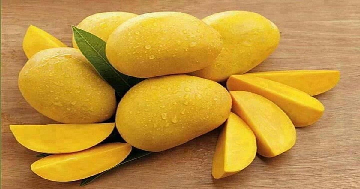 Exploring Anticipated Mango Price in Pakistan 2024 by SEO Training in