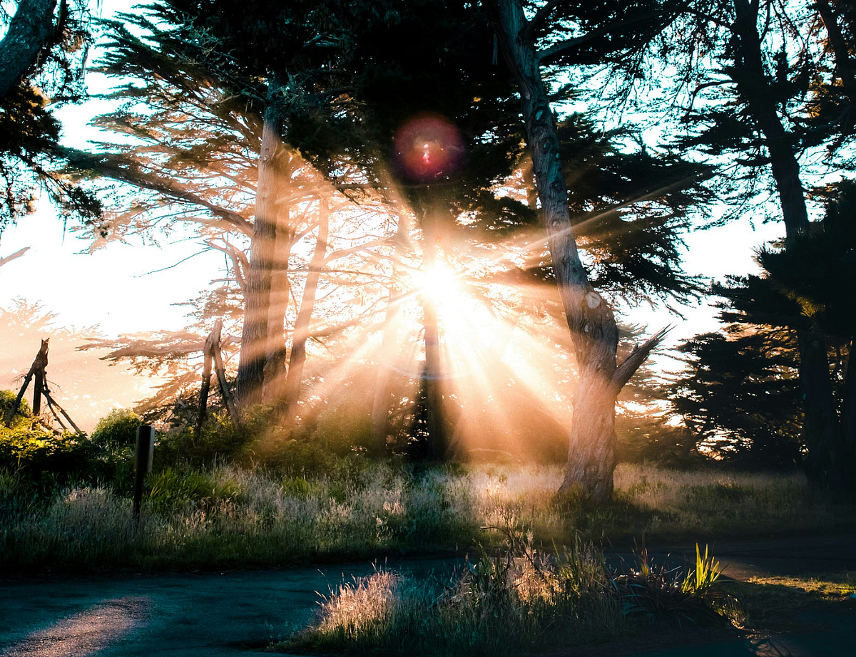 Five Motivational Ropes I Grabbed From People Wiser Than Me by Trevor